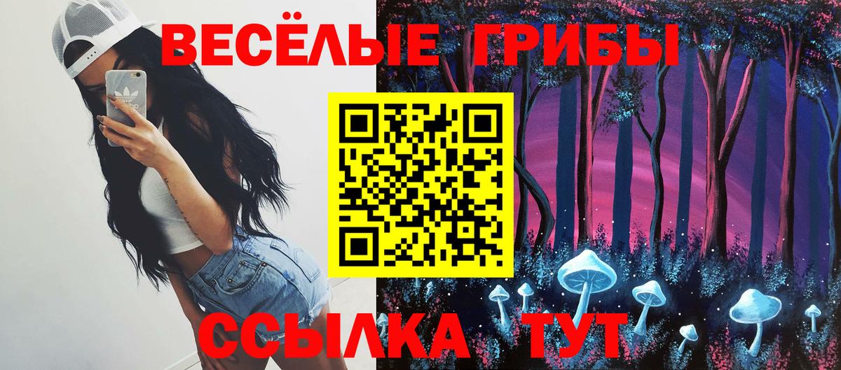 Псилоцибиновые грибы Psilocybe  закладка  Якутск  Вход с VPN 