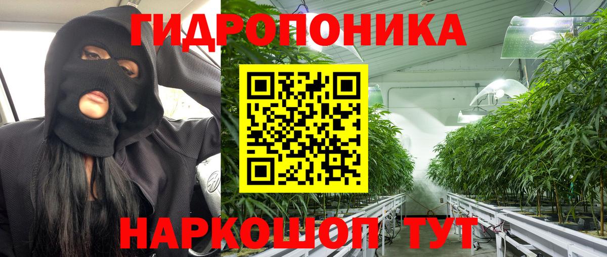 Бошки марихуана Bruce Banner Якутск